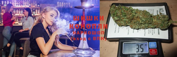 стаф Аркадак