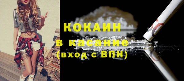стаф Аркадак
