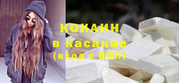 стаф Аркадак