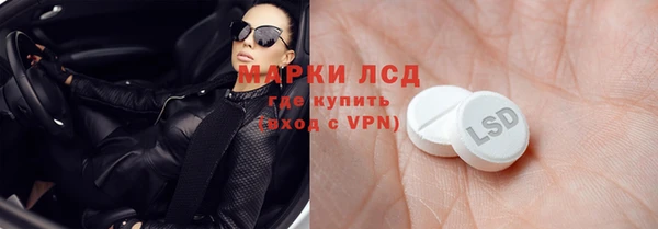 стаф Аркадак
