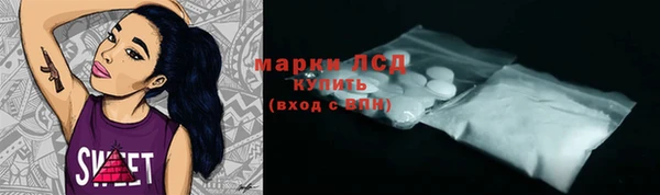 стаф Аркадак