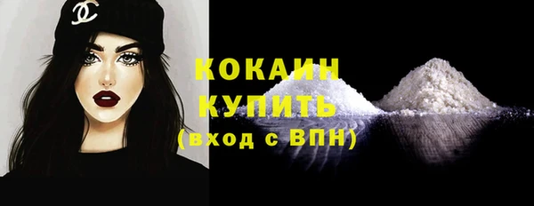 стаф Аркадак