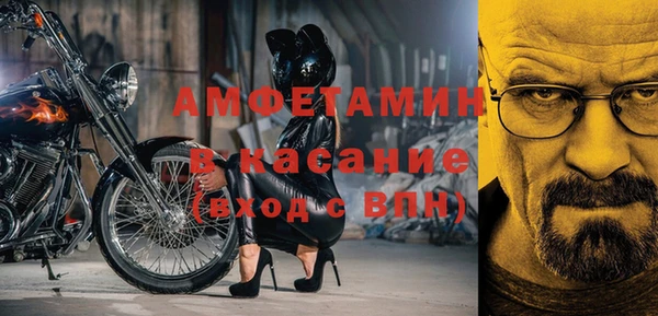 стаф Аркадак