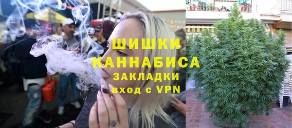 стаф Аркадак