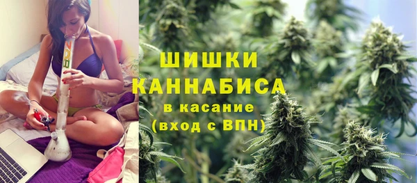 стаф Аркадак