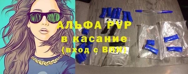 стаф Аркадак