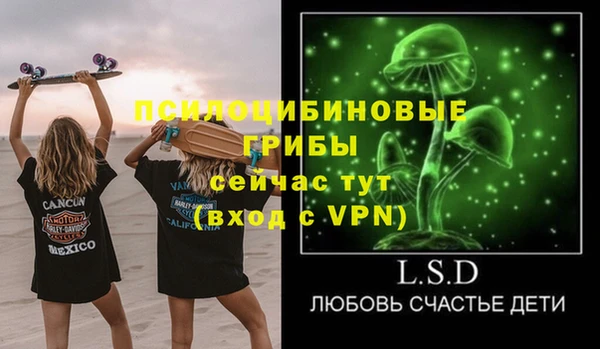 гидропоника Арсеньев